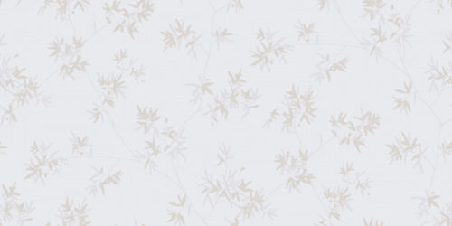 Japanese Maple  5329